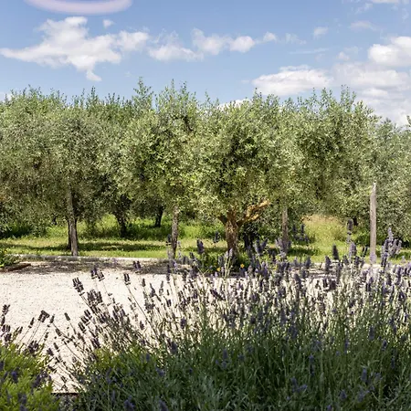 Tenuta Fogliani & Natural אתר נופש Visciano